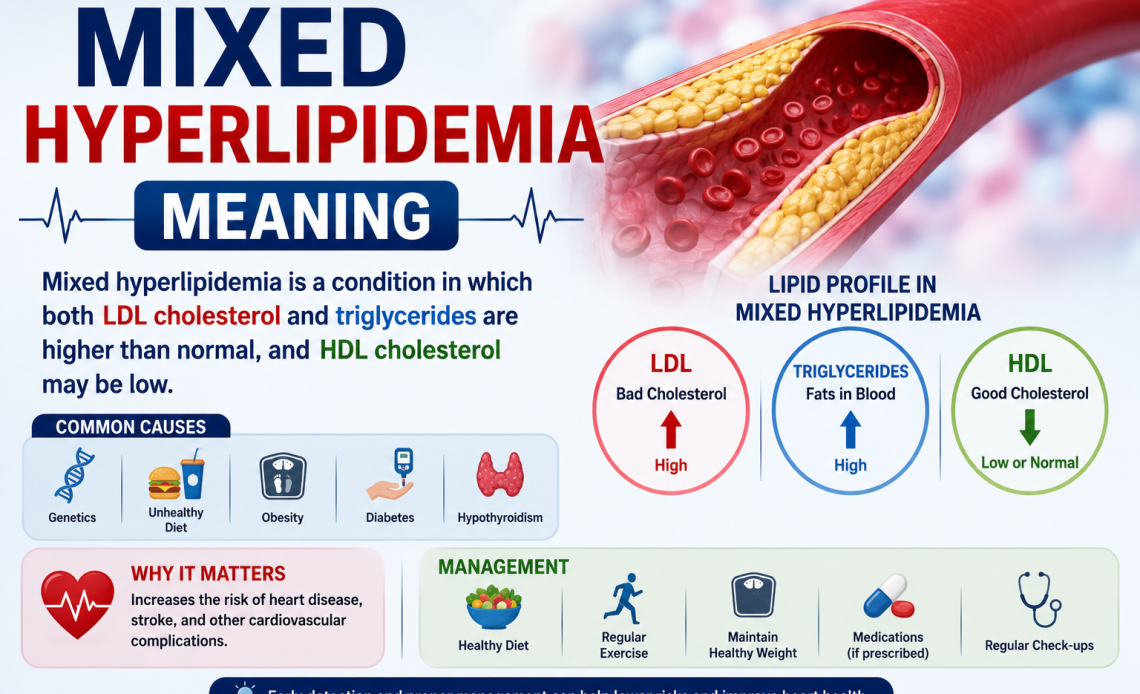 Mixed Hyperlipidemia Meaning
